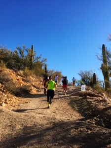 Processed with MOLDIV